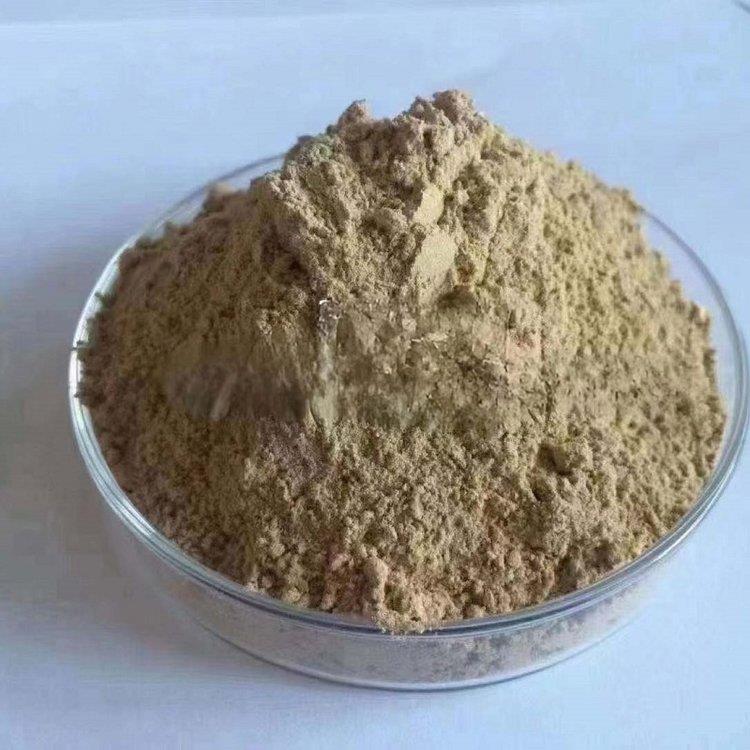 低溫菌種 低溫菌種